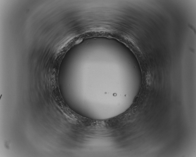 X0000099930968200806061450