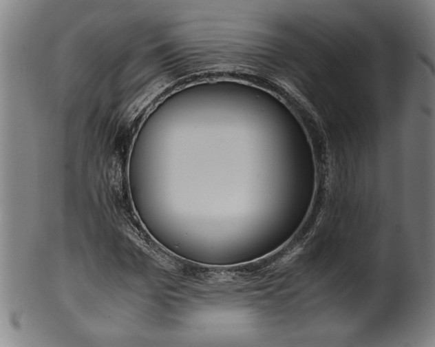 X0000099930969200806061450