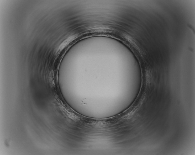 X0000099930970200806061450