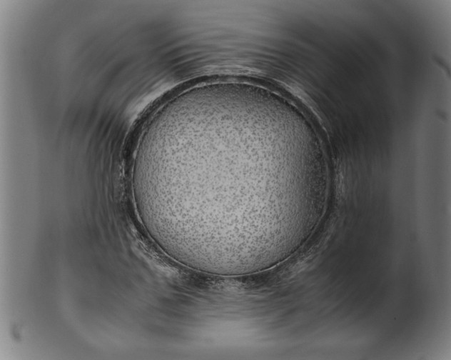 X0000099930971200806061450