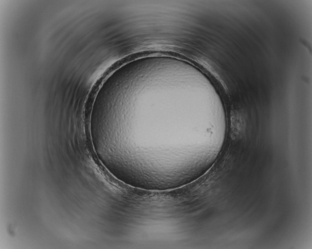 X0000099930972200806061450