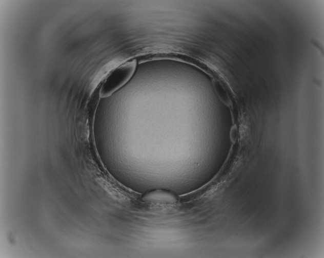 X0000099930973200806061450