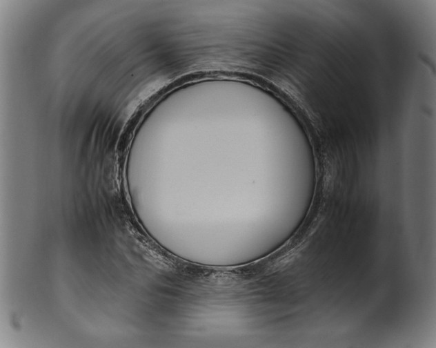 X0000099930974200806061450