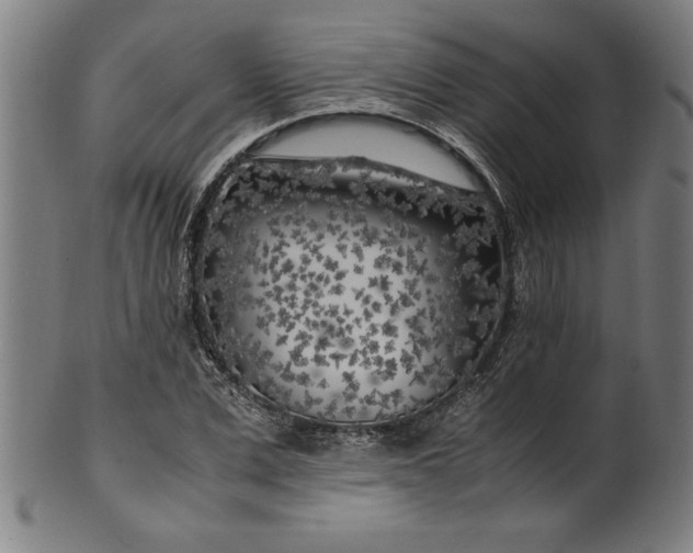 X0000099930975200806061450