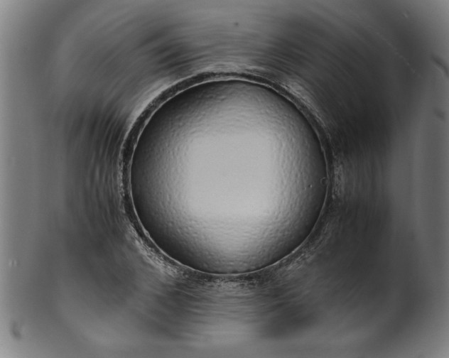 X0000099930976200806061450