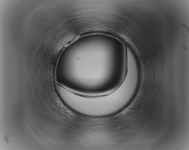 X0000099930977200806061450