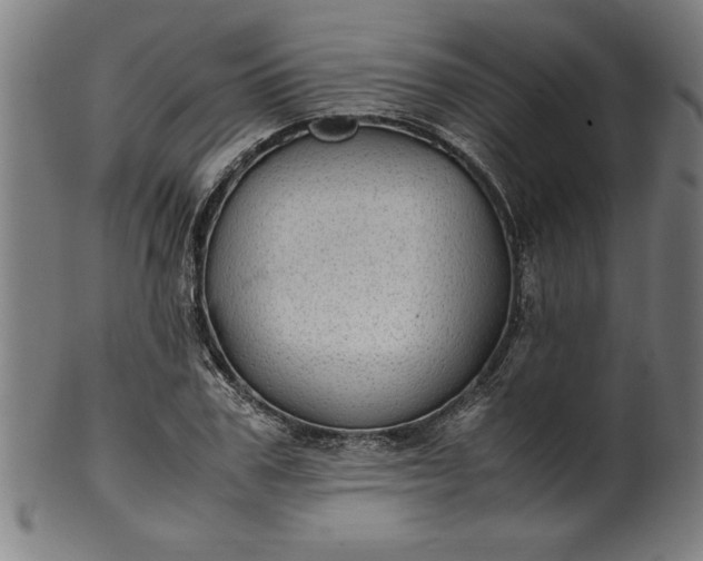 X0000099930979200806061450