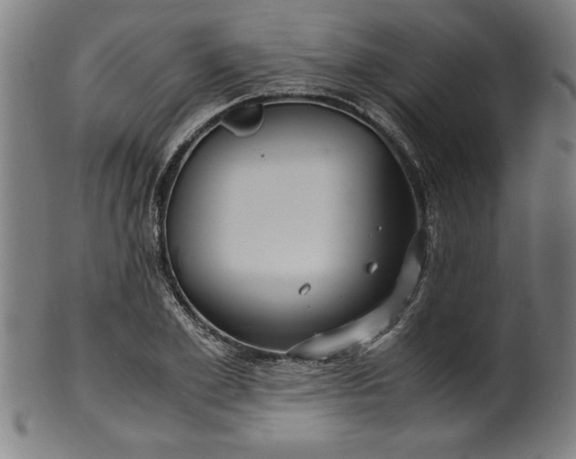 X0000099930981200806061450