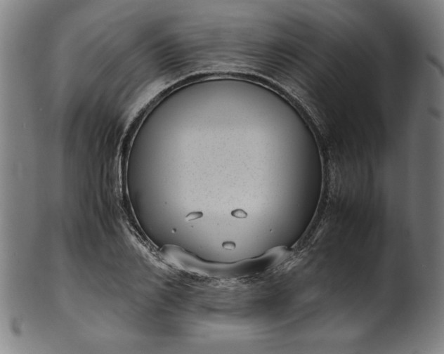 X0000099930982200806061450