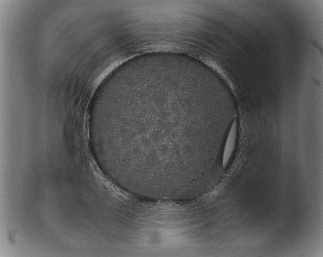 X0000099930983200806061450