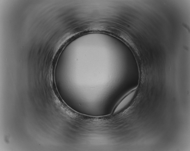 X0000099930984200806061450