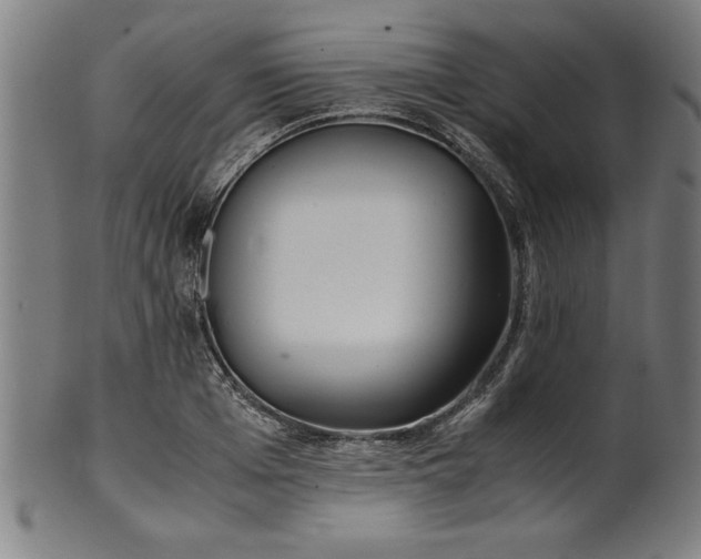 X0000099930985200806061450