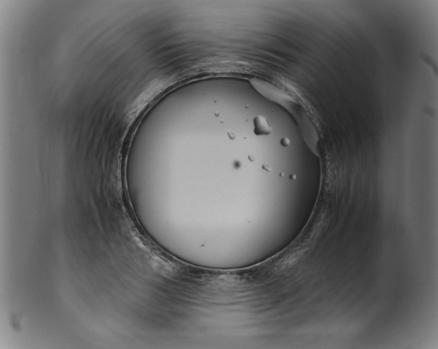 X0000099930986200806061450