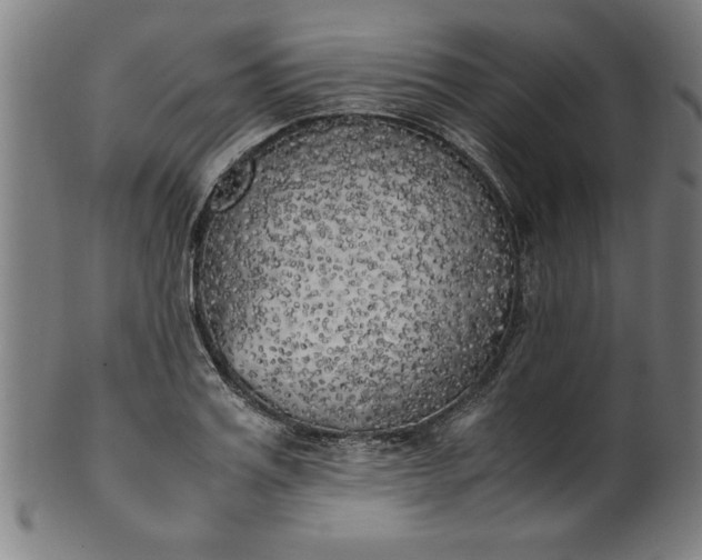 X0000099930987200806061450