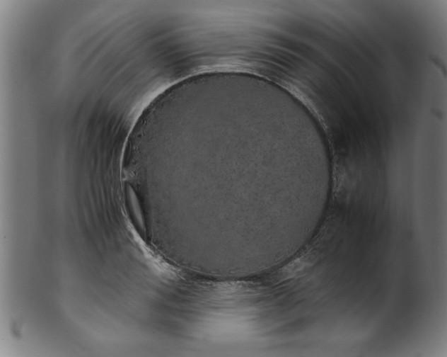 X0000099930988200806061450