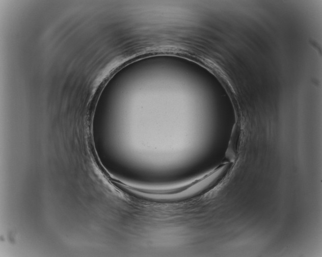 X0000099930989200806061450