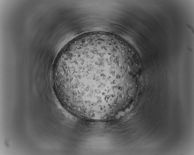 X0000099930991200806061450