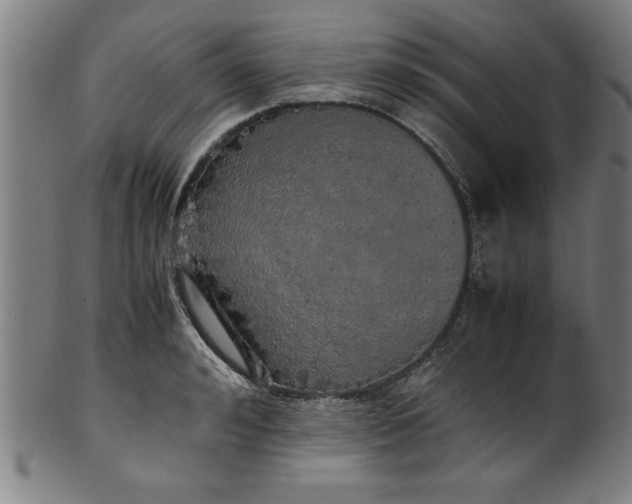 X0000099930992200806061450