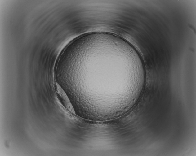 X0000099930996200806061450