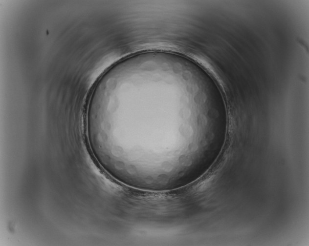 X0000099930999200806061450