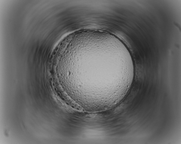 X0000099931000200806061450