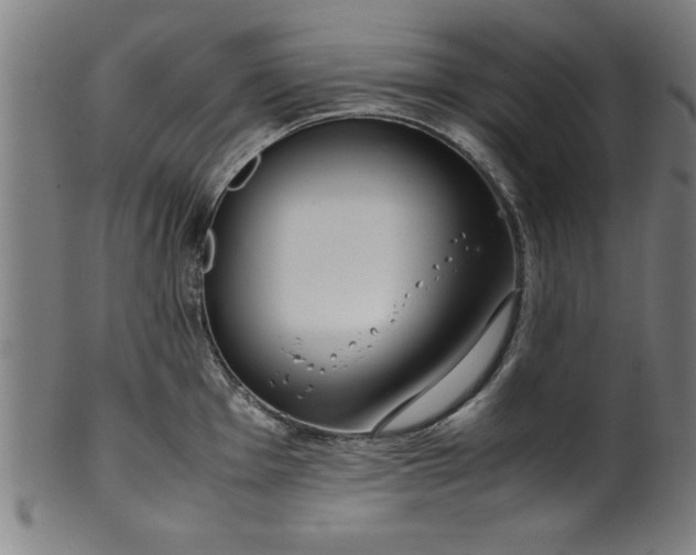 X0000099931001200806061450