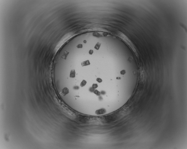 X0000099931002200806061450