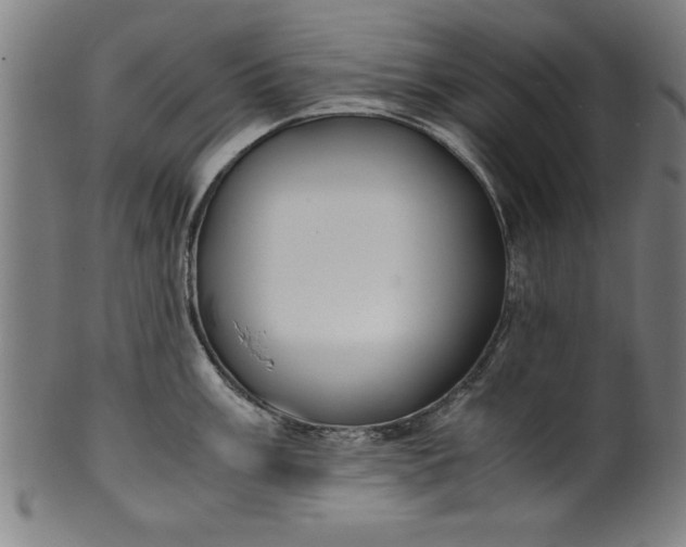 X0000099931003200806061450