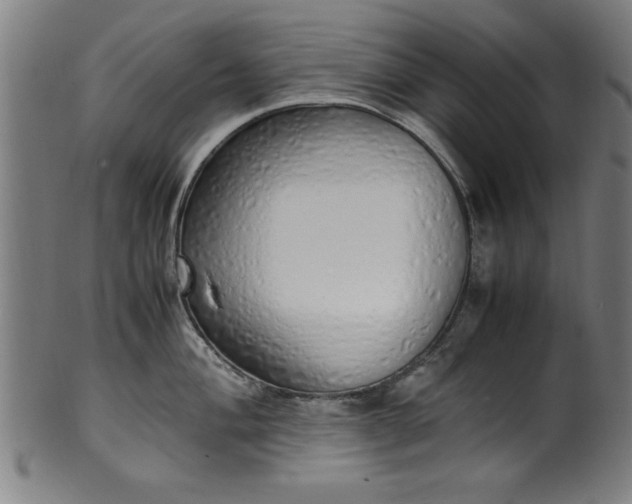 X0000099931004200806061450