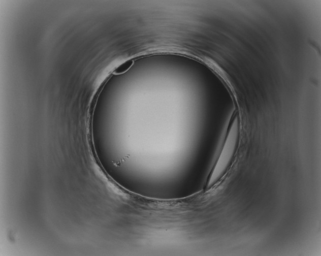 X0000099931005200806061450