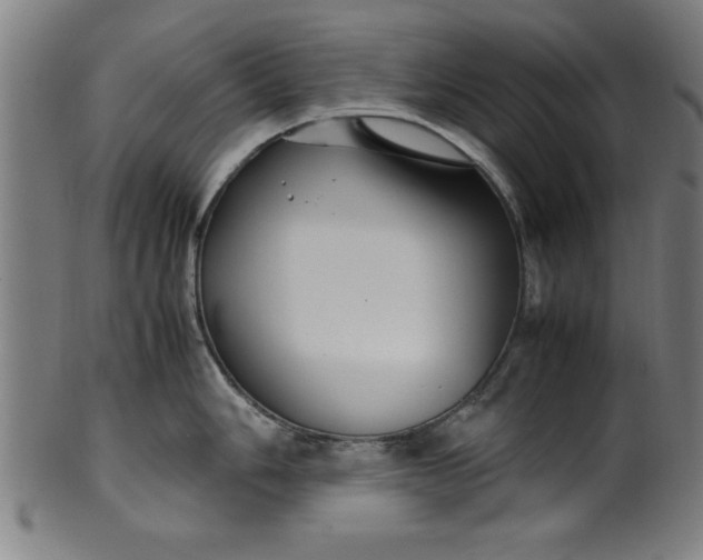 X0000099931006200806061450