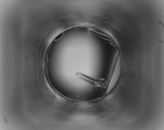 X0000099931007200806061450