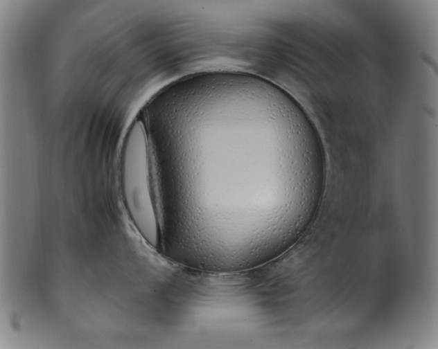 X0000099931008200806061450