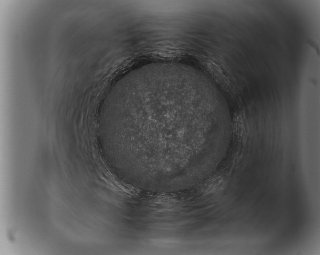 X0000099931009200806061449