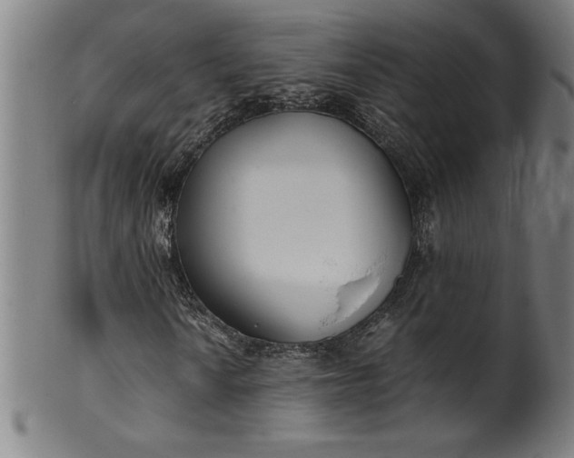 X0000099931010200806061449