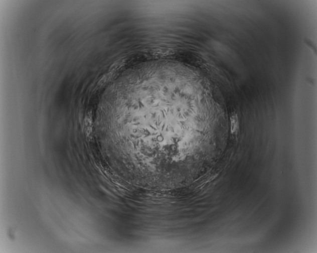 X0000099931011200806061449