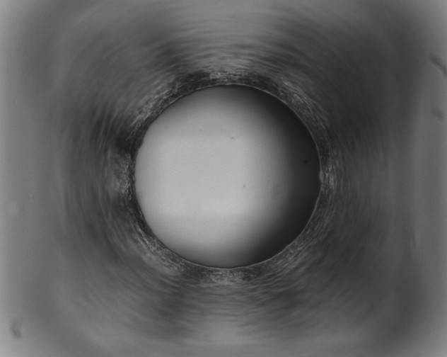 X0000099931012200806061449