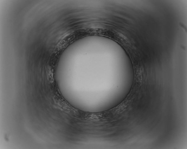 X0000099931013200806061449