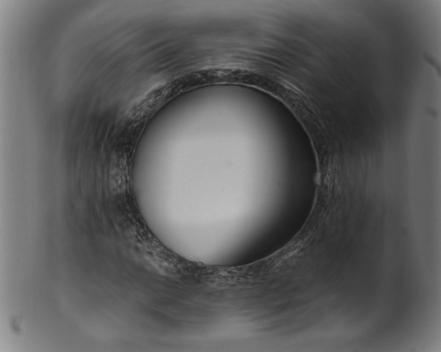 X0000099931014200806061449