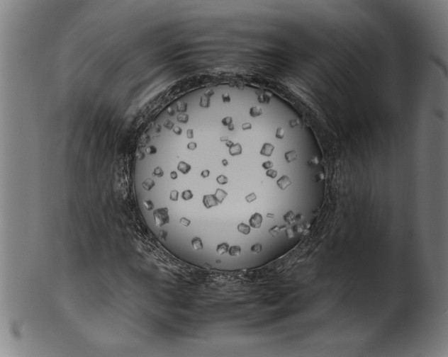 X0000099931015200806061449