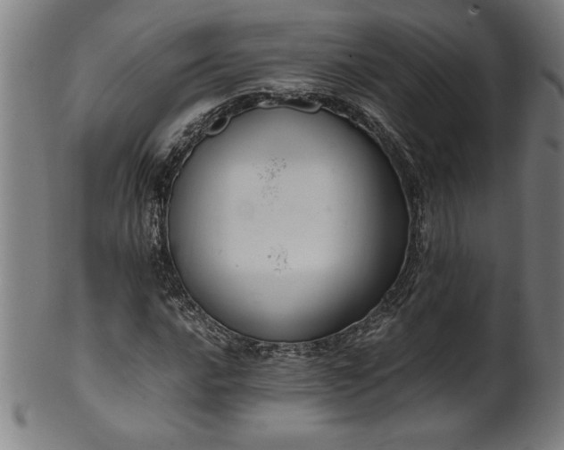 X0000099931016200806061449