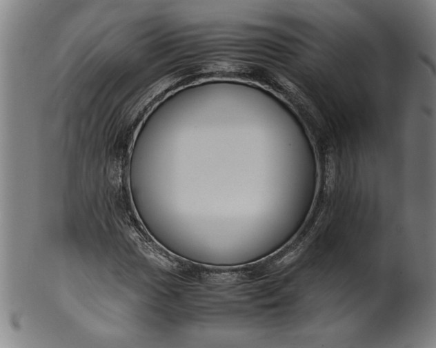 X0000099931017200806061449