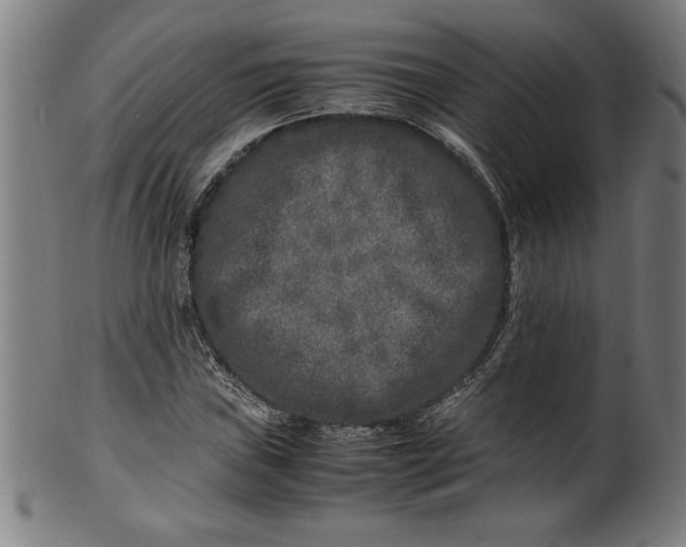 X0000099931019200806061449