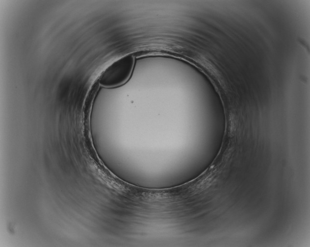 X0000099931020200806061449