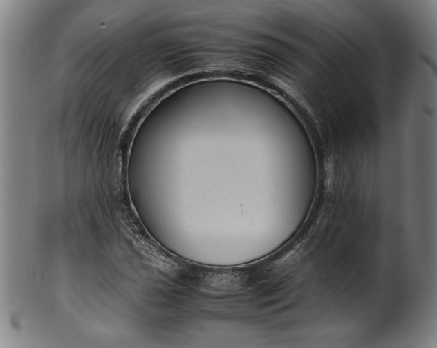 X0000099931021200806061449