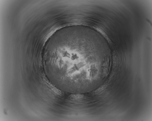 X0000099931023200806061449