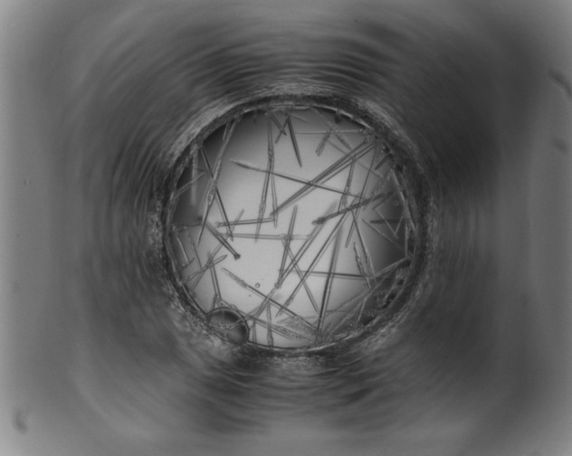 X0000099931025200806061449