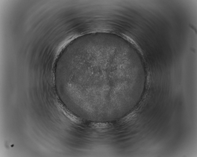 X0000099931027200806061449