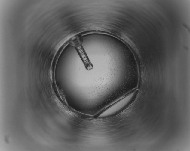 X0000099931028200806061449