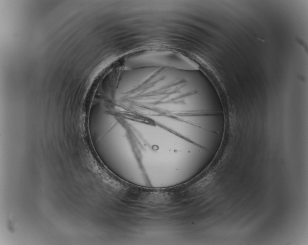 X0000099931029200806061449